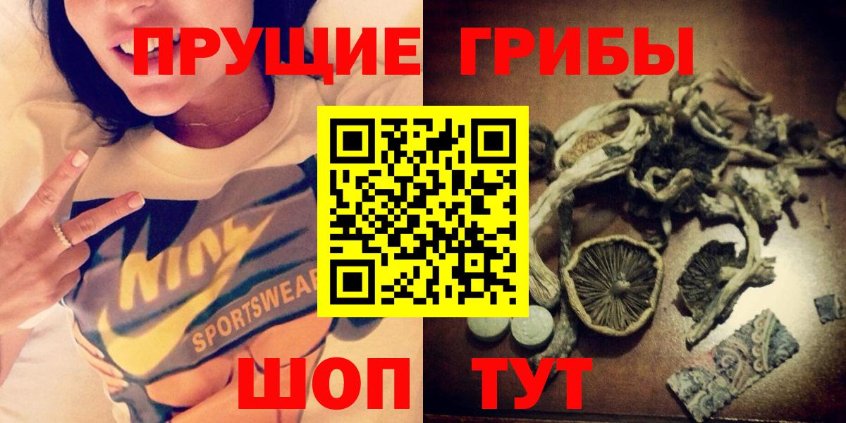 Артём  Псилоцибиновые грибы Cubensis  Вход с VPN 